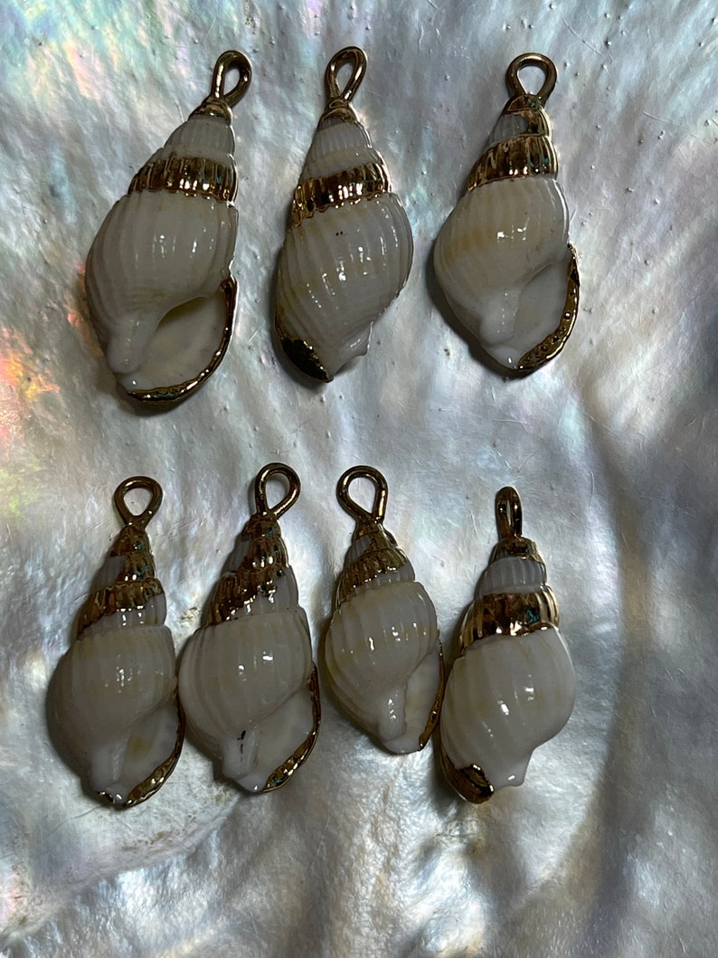 10 Pieces Natural Conch Shell Pendants, Gold Plated Sea Shell Charms ...