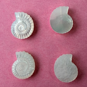 May include: Four pearlescent, shell-shaped objects on a pink background. Two are detailed with spiral patterns, while the other two have a smooth, curved design. The objects are likely decorative elements or craft supplies.