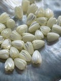 6pcs Mother of Pearl Hawaiian Pikake Beads， Hand Carved Jasmine Flower, Jewelry Making. DIY Earrings, Necklace, Pendants and Bracelets, E006 product logo