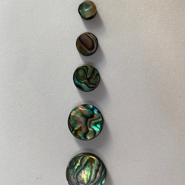 10 Stück Abalone Münzperlen, Paua Münzform Perlen, Perlen zur Schmuckherstellung, Schmuckteile, E328