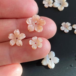 5 pcs Hand Carved Natural Pink Mother of Pearl Shell Cherry Blossom Beads, E601