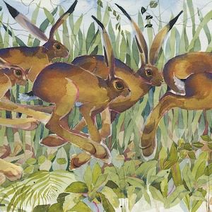 Drove of Hares