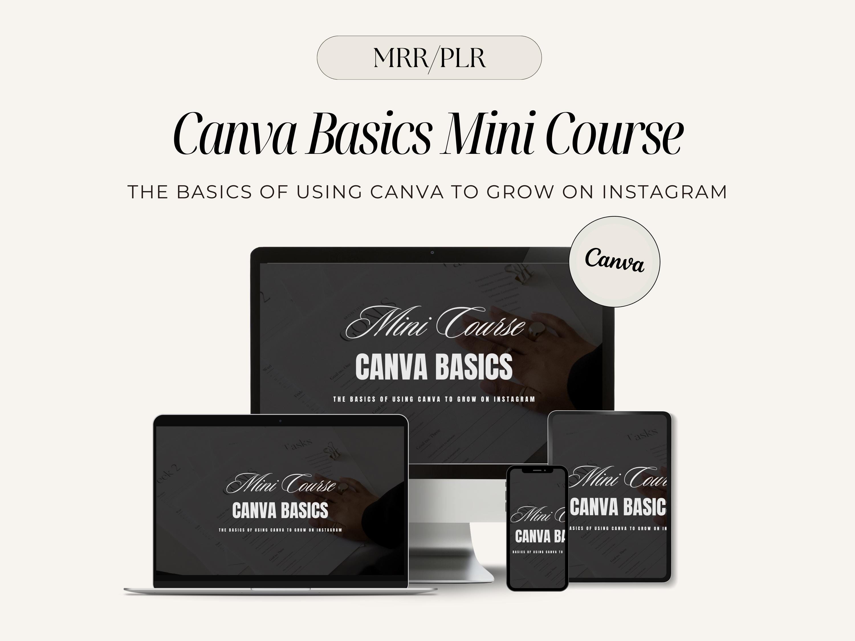 Canva Basics Mini Course 2025: Instagram Growth (MRR PLR) - Etsy