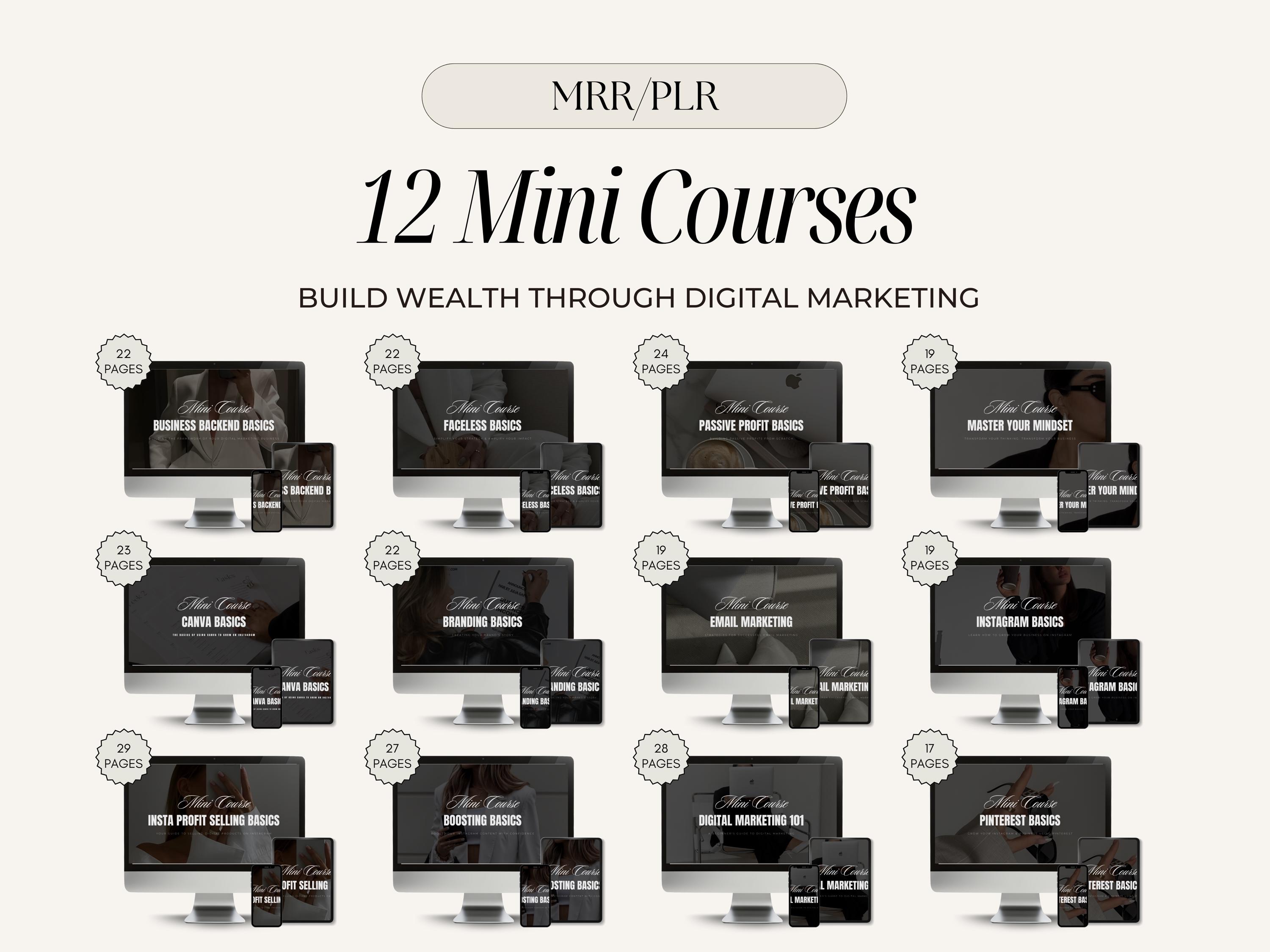 12 Mini Courses With Master Resell Rights | Build Wealth Through ...