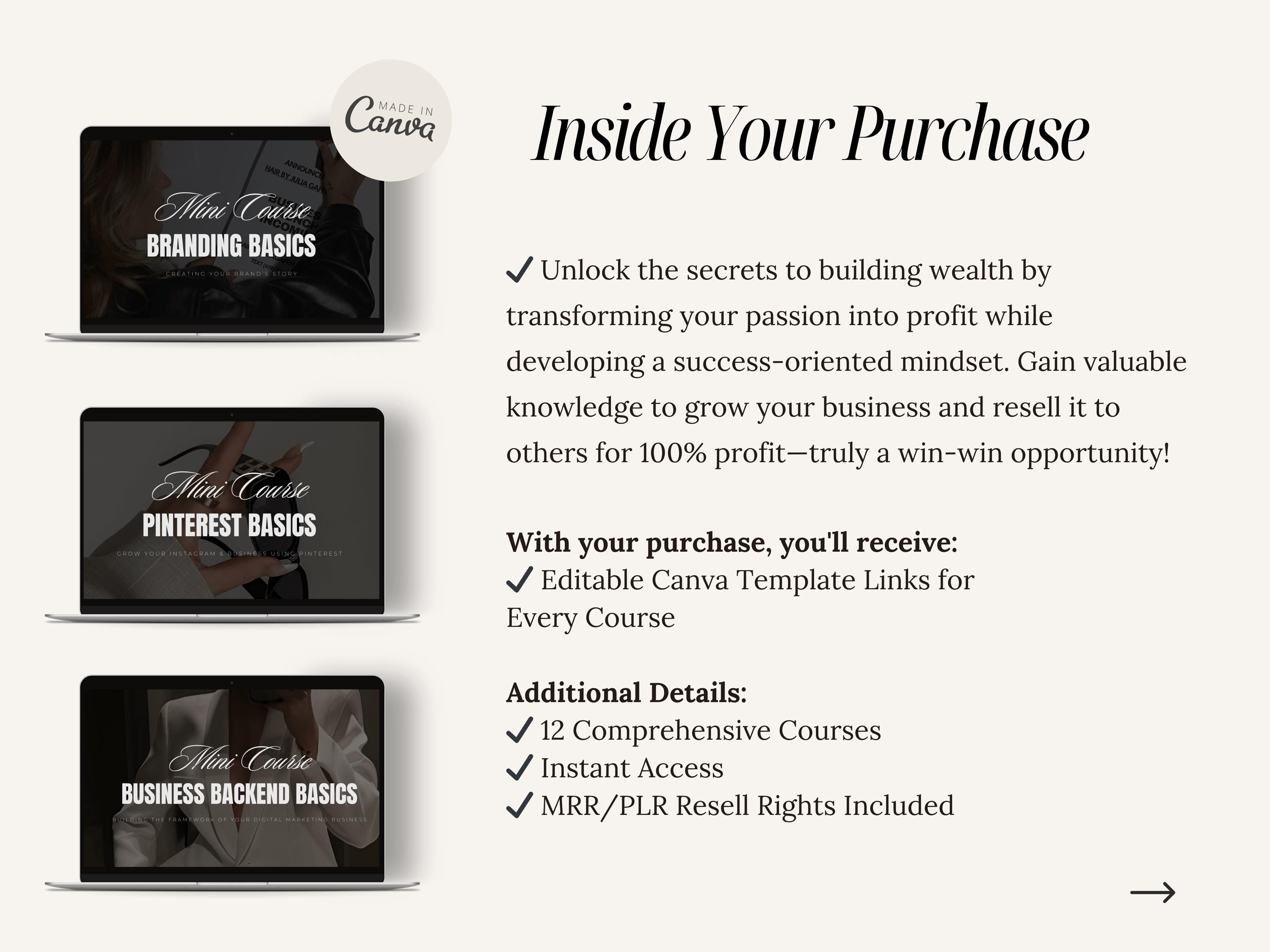 12 Mini Courses With Master Resell Rights - 2025 Edition | Build Wealth ...