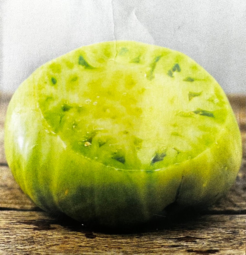 GREEN GIANT TOMATO Plant Etsy