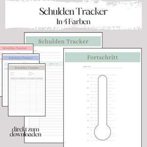 May include: A printable debt tracker with four different colored pages. The tracker includes a section for listing debts, a section for tracking payments, and a progress thermometer.