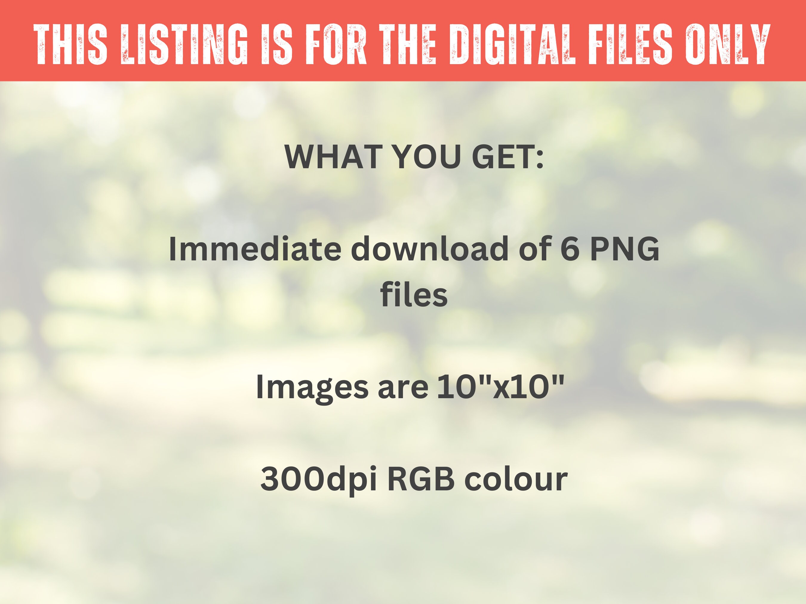 Beaded Aztec Wind Spinner PNG | 6 PNG Bundle for Sublimation | Spinner ...