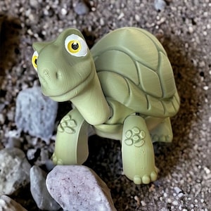 Baby Tortoise/ 3D Printed Tortoise