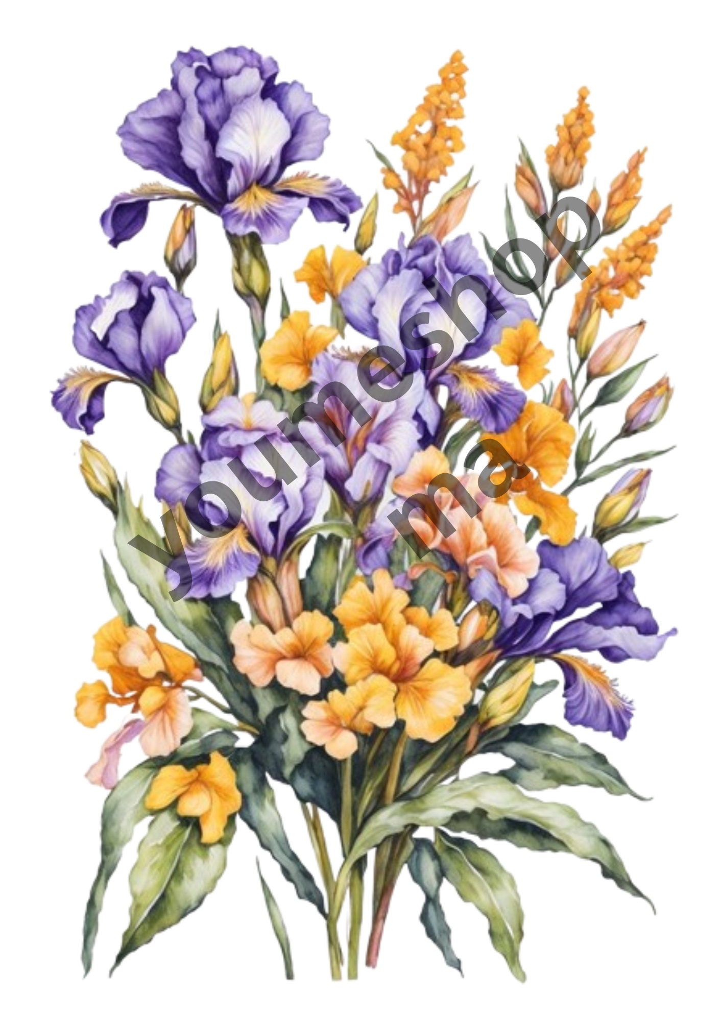 12-irislowers-watercolor-clipart-irislowers-patterns-digital