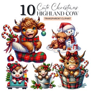 Aquarell Weihnachten Highland Kuh Clipart Bundle, Western süße Weihnachtskühe, schrullig Highland Kuh Digitaldruck Kunst Einladung Papier Handwerk
