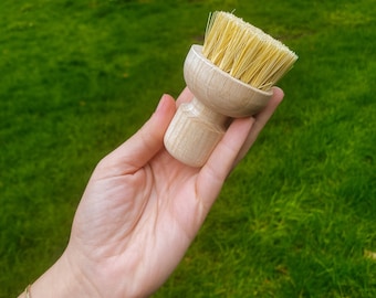 May include: A small, light-colored wooden brush with a rounded head and natural bristles. The brush has a short, turned handle and is held against a background of green grass.