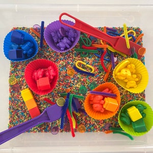 May include: A sensory bin filled with colorful rice, silicone cupcake liners, and various small toys. Includes blue blocks, purple bears, red cubes, orange blocks, yellow monkeys, and green blocks. Also features pipe cleaners and magnetic wands.