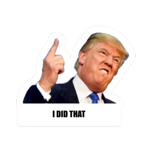 Trump I Did That sticker , Pro-Trump, Anti-Trump, Patriotic Decal, Political Statement