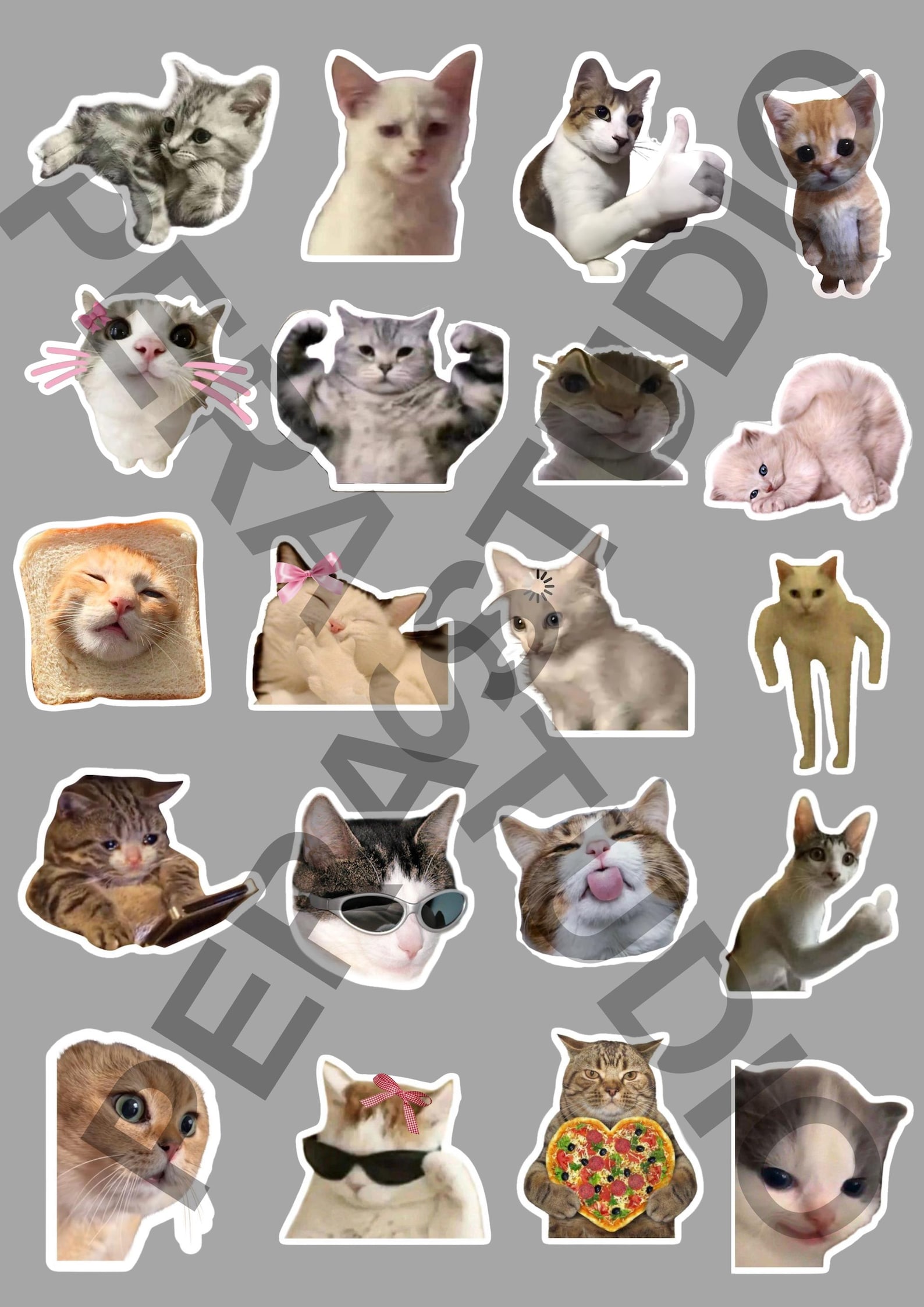 Funny Cat Meme PNG Bundle | Viral Digital Sticker Pack - Etsy Canada