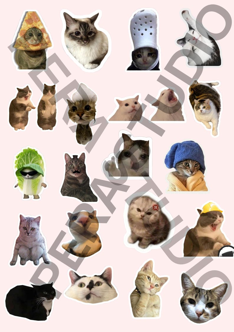 Funny Cat Meme PNG Bundle | Viral Digital Sticker Pack - Etsy