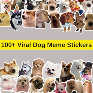 Puede incluir: Una colección de más de 100 pegatinas de memes de perros, que representan varias razas con expresiones y atuendos divertidos. Las pegatinas muestran perros en situaciones cómicas. El texto "100+ Viral Dog Meme Stickers" se muestra en una pancarta amarilla.