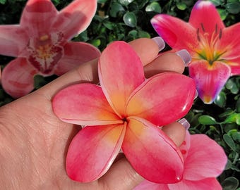 Society6 iPhone4/4S,5用 Plumeria Blossoms Shop: Plumeria A-Z | Jungle Jacks 2/4