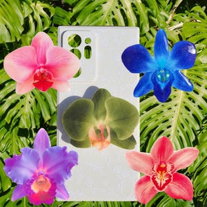 Support pour téléphone avec fleur d'orchidée|accessoire pour téléphone|Poignée en forme de fleur|fleurs tropicales|orchidée|support pour téléphone|accessoire pour téléphone à fleurs|Fleur d'orchidée rose violet bleu