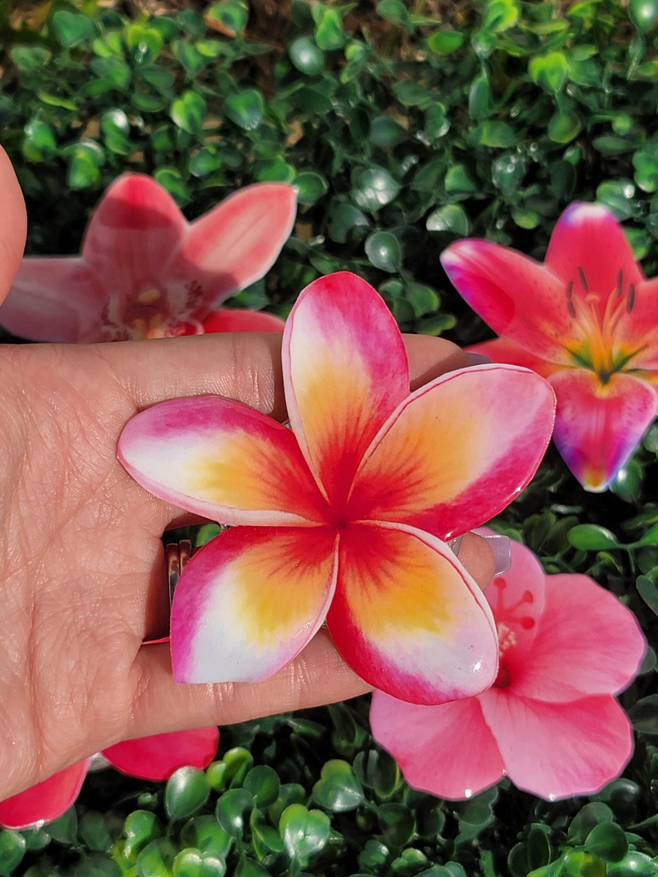 Society6 iPhone4/4S,5用 Plumeria Blossoms Plumeria Flower Phone Grip|phone Accessory |flower Grip