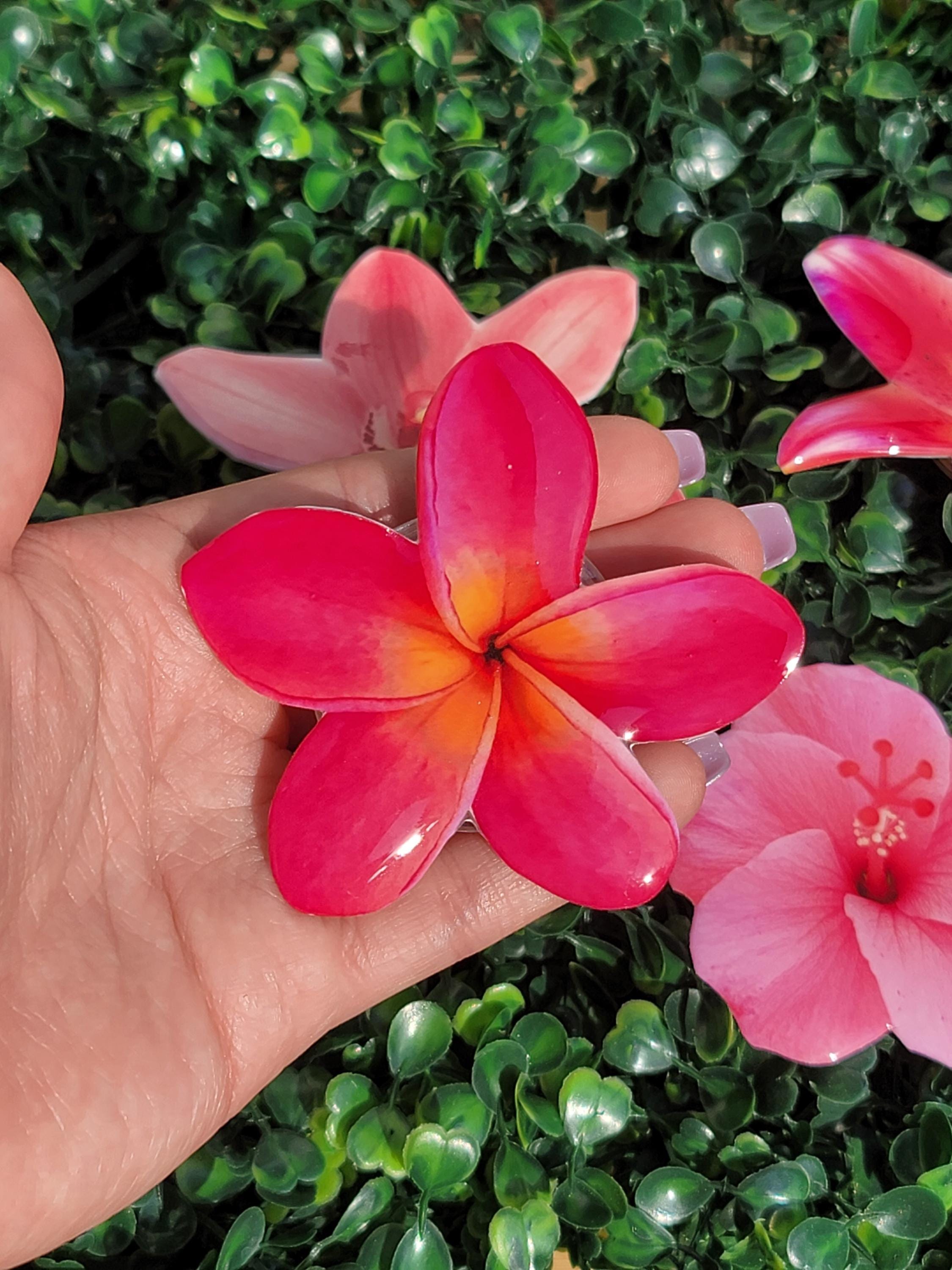 Plumeria Flower Phone Grip|phone Accessory |flower Grip