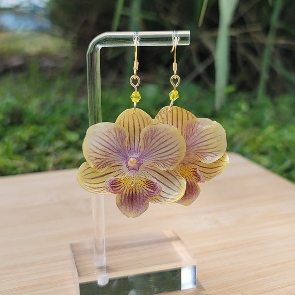 Echte konservierte gelbe Orchidee|18k vergoldet |gelbe Perle |Damenschmuck|Naturschmuck|Echte Blume|Harzkunst|Einzigartig| Ohrhänger|Set