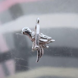 May include: A silver-toned metal charm shaped like a parrot perched on a vertical bar. The bird is depicted in profile with detailed wing and tail feather engravings, and a small circular loop is attached to the top of the vertical bar for hanging.