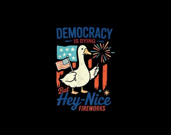 Silly Goose Democracy Is Dying Fourth of July Protest Png, Political Retro Png, But Hey Nice Fireworks Png, Funny USA Graphic Png