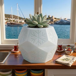 May include: A white, geometric, faceted planter featuring embossed snowflake patterns on its exterior surfaces. A green succulent plant is potted inside the container, which sits on a wooden surface in front of a window overlooking a harbor.