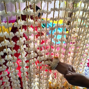 Jasmine Garland Backdrop: Nikah Wedding Decor, 7 ft (40 Piece)