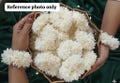 Jasmine Hair Gajra Accessory, Return Gift, Hair Floral Gajra, Hair Scrunchies, Indian Wedding Gift, Gift For Her, South Indian Gajra