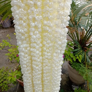 3/5/7/9  Feet Artificial Jasmine Mogra Garland Ladi,Wedding Nikah Decor, White Buds Floral Hanging for Mandap, Parda, Mehndi, Festival Decor