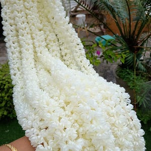 Peut inclure: Une guirlande de fleurs blanches en cascade, densément tassées et finement agencées. Les fleurs sont petites et groupées, créant un effet texturé et fluide. Le fond comprend du feuillage vert.