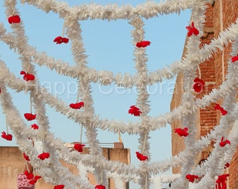 Indian Bridal Entry: Phoolon Ki Chadar, Kaleera Chaddar, and Floral Canopy for a Stunning Wedding Entrance - Decorative Floral Wedding Net