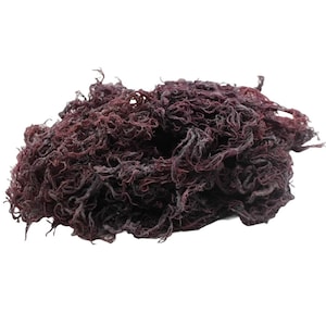 Sea Moss (raw) Purple 1kg  Wildcrafted, Organic Sea Moss, Vegan Friendly ( also known as Irish moss )