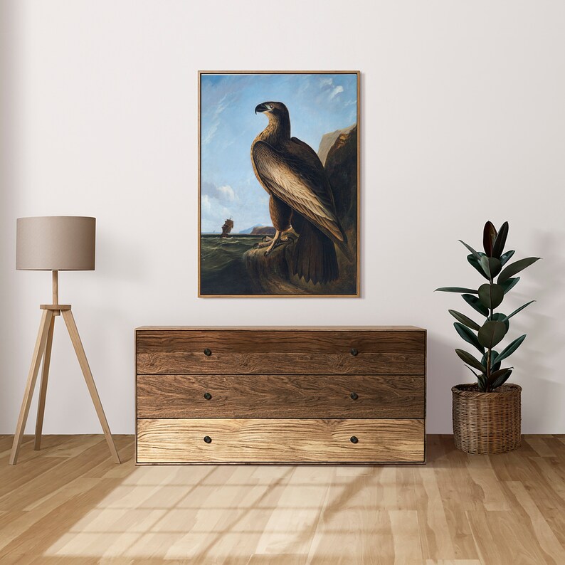 May include: A painting of a brown eagle perched on a rock with a ship in the distance. The eagle is looking to the right, and the background is a blue sky with white clouds.