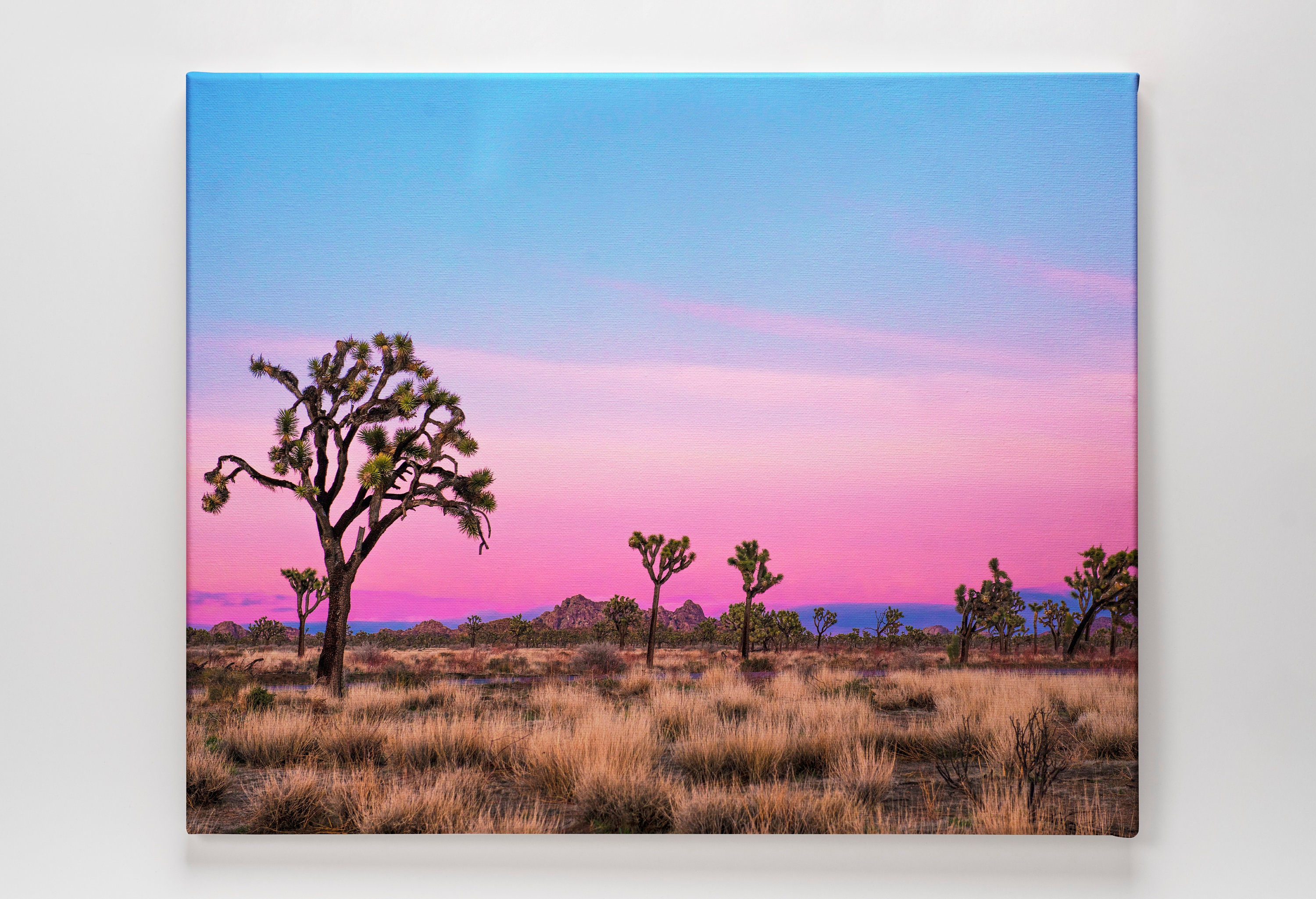 Joshua Trees at Sunset Print on Canvas, Nature Pink Sunset, Nature