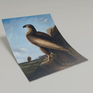 May include: A painting of a brown eagle perched on a rocky cliff overlooking a body of water. A ship sails in the distance. The sky is blue with white clouds.