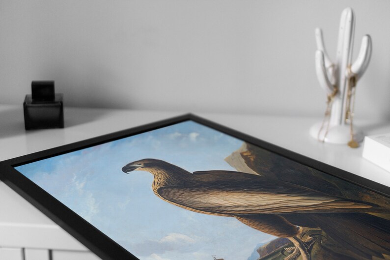 May include: A framed print of a brown and white eagle with a blue sky and clouds in the background.
