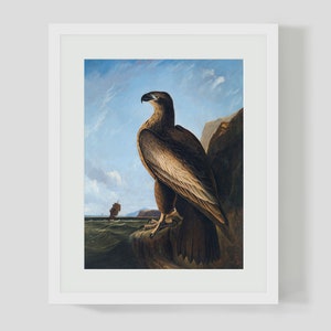 May include: A painting of a brown and white eagle perched on a rocky cliff overlooking a body of water. A ship is visible in the distance.