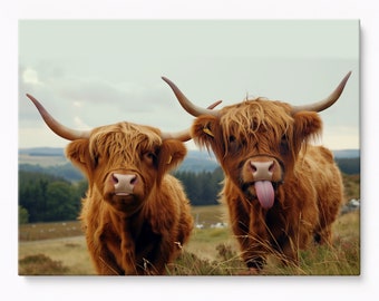 Highland Cows, Funny Cows Canvas, Funny Animals, Farmhouse Canvas Print, Highland Cow Canvas Print, Rustic House Decor Canvas