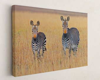 Family of Zebra stand in a Grassy Savanna, Zebra Canvas Print, Canvas Wall Art Picture