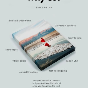 May include: A canvas print with a vibrant landscape scene of a woman in a red dress walking on a snowy beach. The print is framed in a pine wood frame and is ready to hang. The print is made in the USA and comes with fast free shipping.