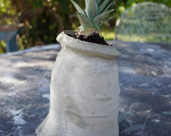 Bodily Phallic Planter, Office organizer
