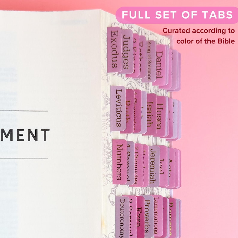 a set of pink dividers with the names of various Bible texts, such as Exodus, Judges, and Numbers, written on them. The dividers are arranged in a row, with the text visible on the left side of the image.