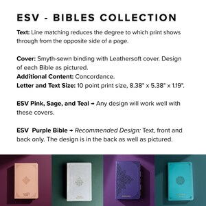 a collection of five different colored hardcover Bibles, each with a unique cover design and size.