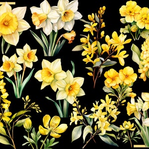 SPRING FLOWERS 100 clip arts 300 dpi, floral, nature, garden, pussy willow flower, crocus, tulip, daffodil, hyacinth magnolia bundle png image 9