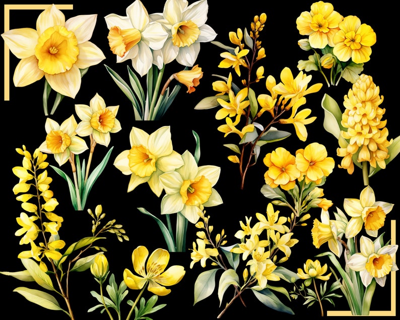 SPRING FLOWERS 100 clip arts 300 dpi, floral, nature, garden, pussy willow flower, crocus, tulip, daffodil, hyacinth magnolia bundle png image 9