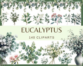 Eucalyptus Clipart Bundle: Watercolor Greenery, Floral PNG (140 Files)