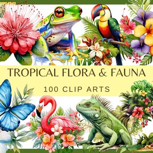 TROPISCHE FLORA & FAUNA - 100 Clip-Arts (300 dpi, Karibik, bündel, digital, Leben im Meer, png, Wasserfall, Papagei, tropisch, Flamingo)